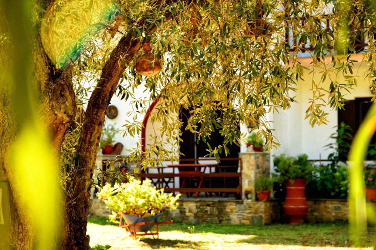Spiros Rooms Panormos  Exteriör bild